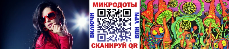 Купить  Вышний Волочёк  Галлюциногенные грибы Psilocybine cubensis 