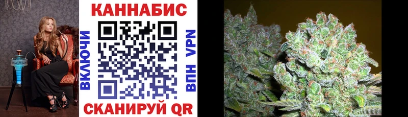 Купить где  Вышний Волочёк  Бошки марихуана Bruce Banner 
